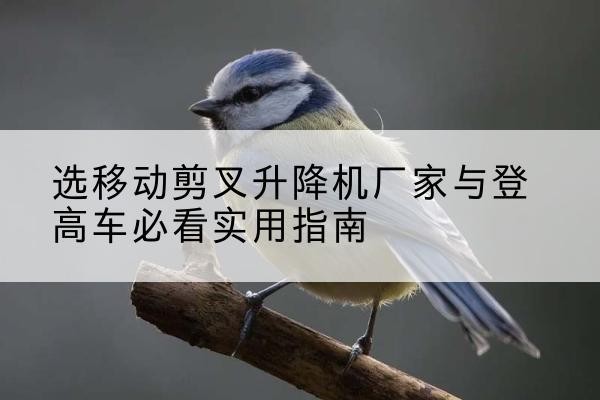 吴中电动升降机厂家-选移动剪叉升降机厂家与登高车必看实用指南