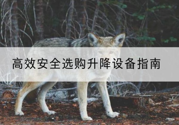 吴中升降货梯厂家推荐-*安全选购升降设备指南